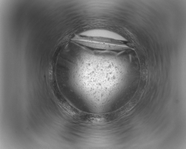 X0000072550552200608111842