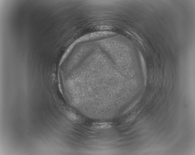 X0000072550553200608111842