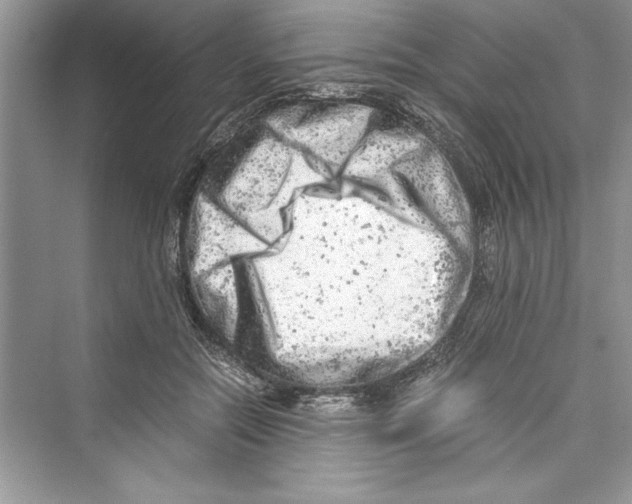 X0000072550554200608111842