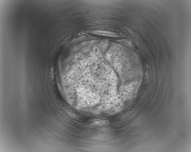 X0000072550555200608111842