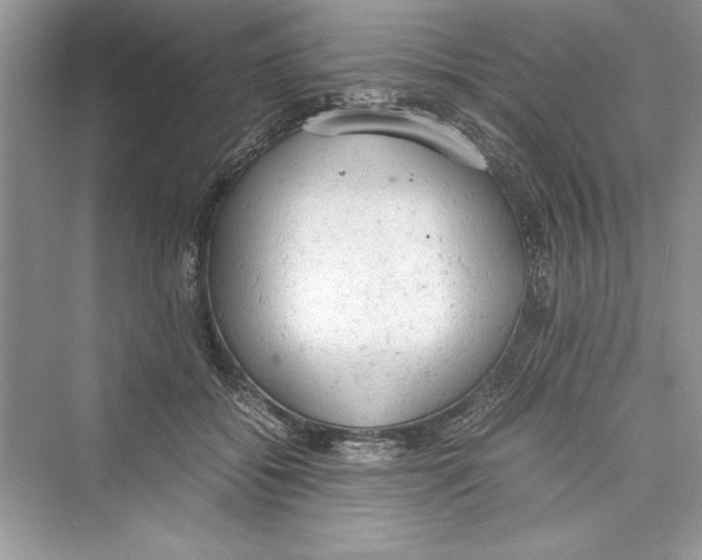 X0000072550556200608111842