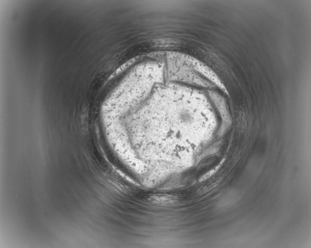 X0000072550557200608111842