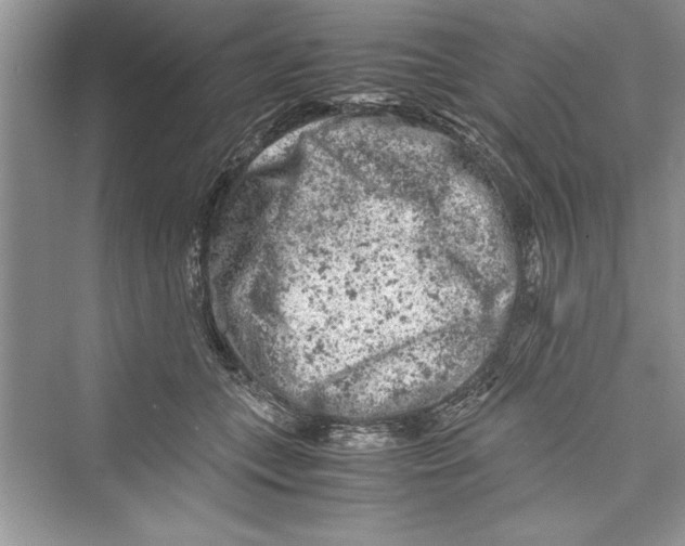 X0000072550559200608111842