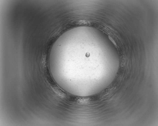 X0000072550560200608111842