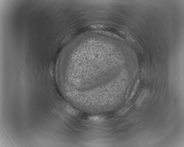 X0000072550561200608111842