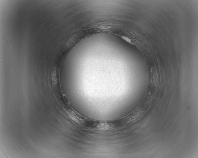 X0000072550562200608111842