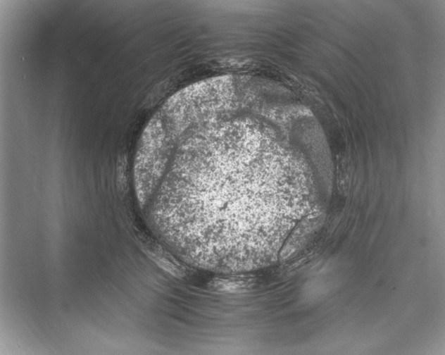 X0000072550563200608111842