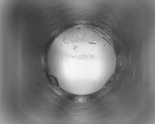 X0000072550564200608111842