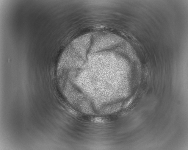 X0000072550565200608111842