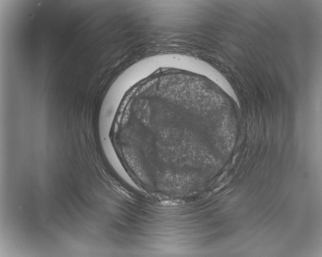 X0000072550566200608111842