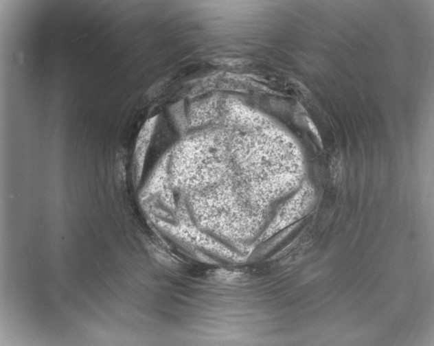 X0000072550570200608111842