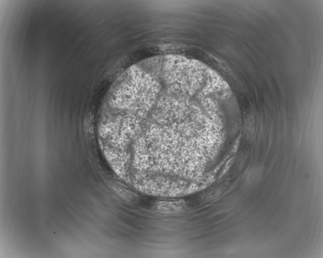 X0000072550571200608111842