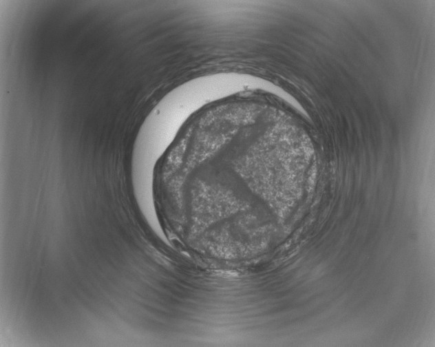 X0000072550572200608111842