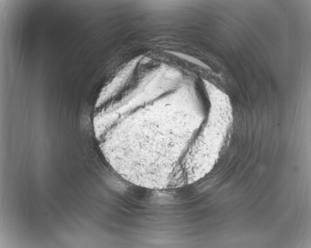 X0000072550573200608111842