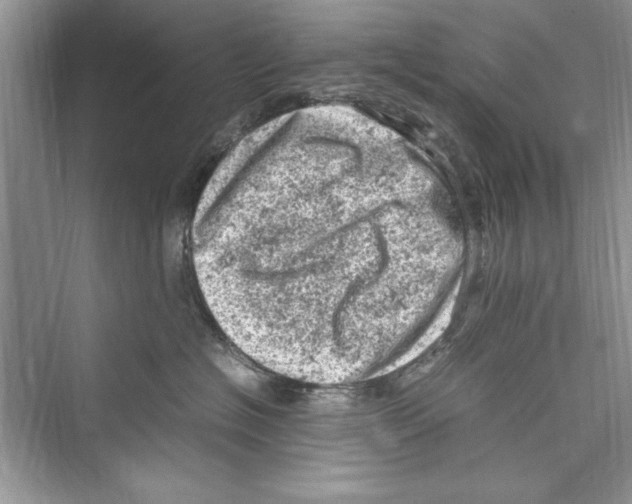 X0000072550574200608111842