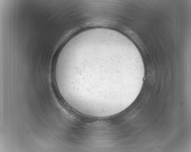 X0000072550578200608111841