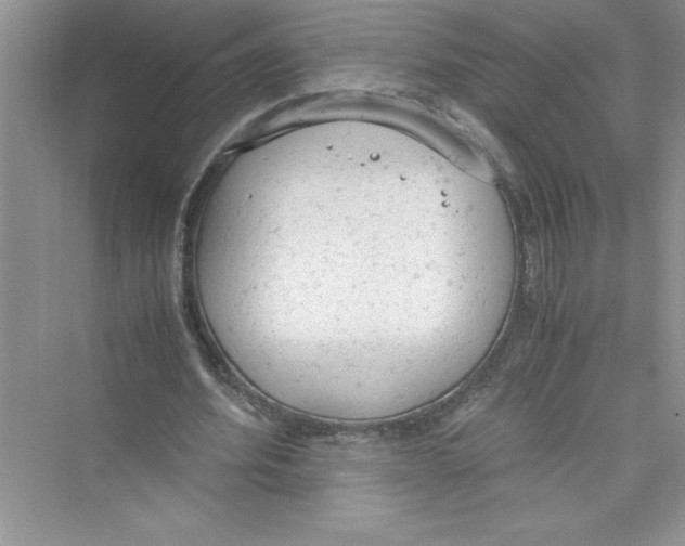 X0000072550580200608111841