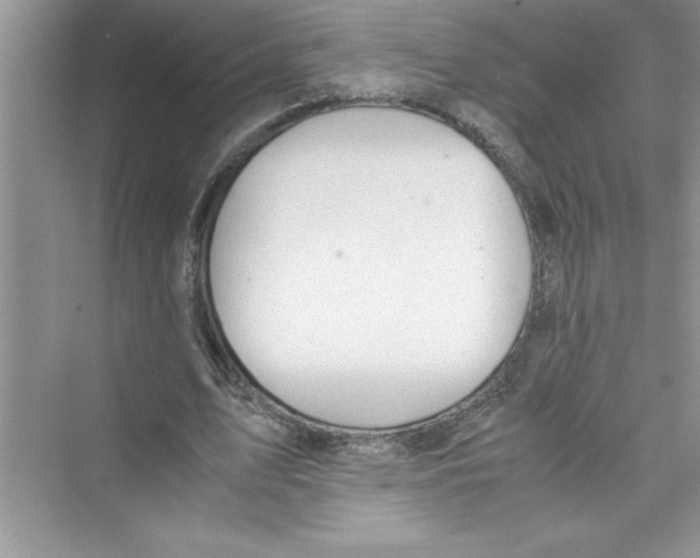 X0000072550583200608111841