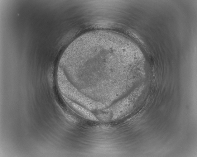 X0000072550586200608111841