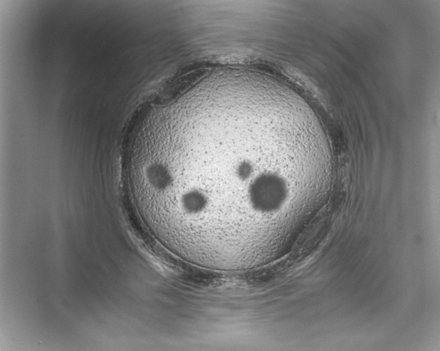 X0000072550589200608111841