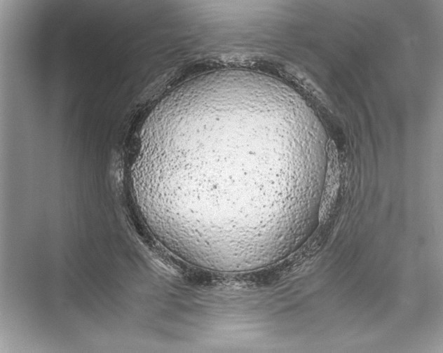 X0000072550593200608111841