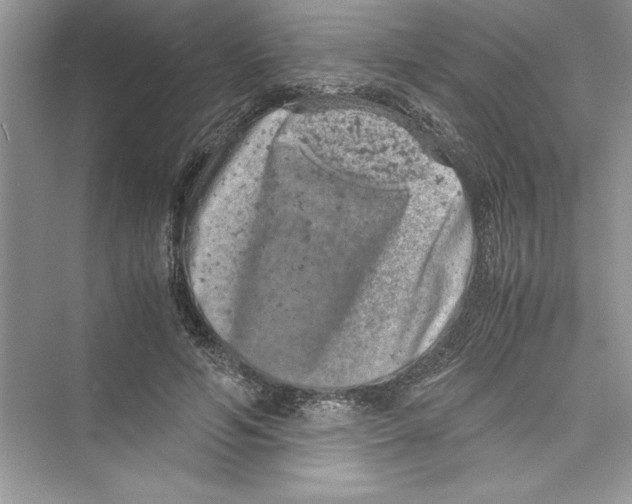 X0000072550594200608111841