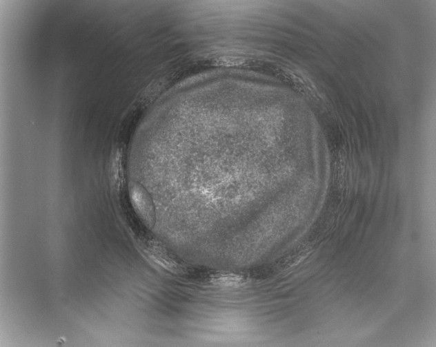 X0000072550598200608111841