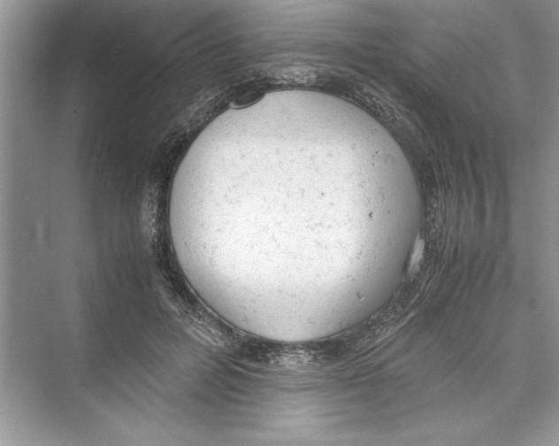 X0000072550600200608111841