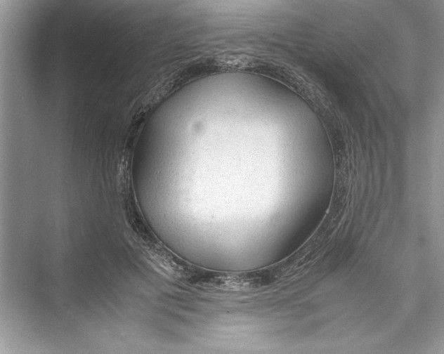 X0000072550601200608111841