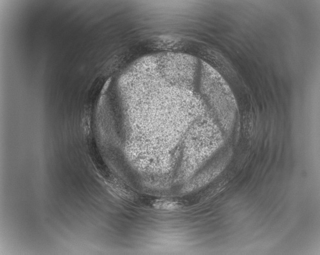 X0000072550602200608111841