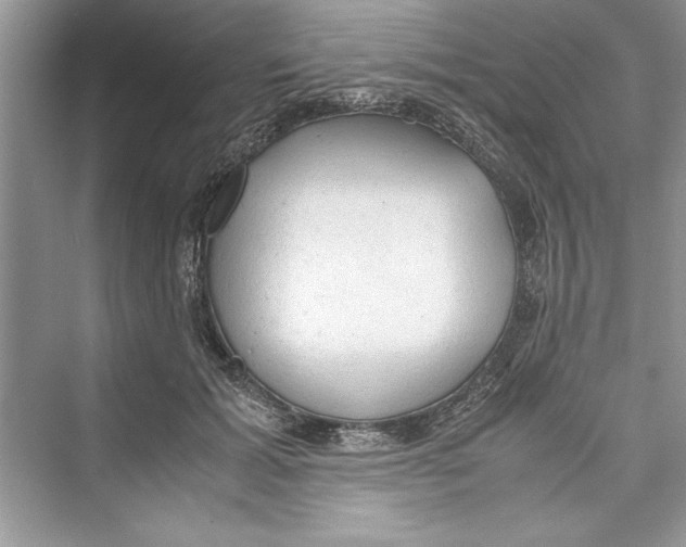 X0000072550605200608111841