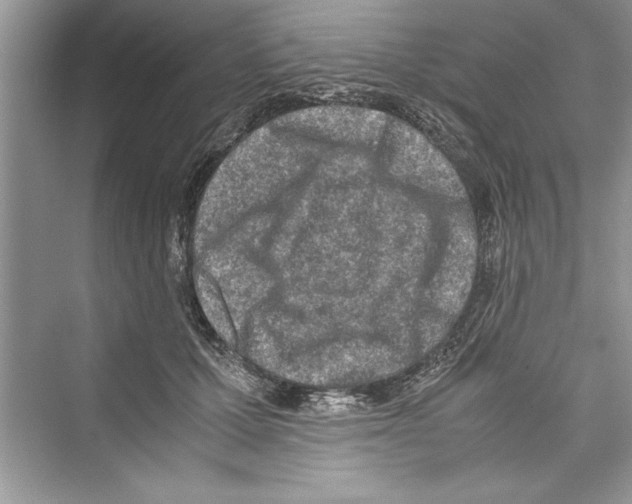 X0000072550607200608111841