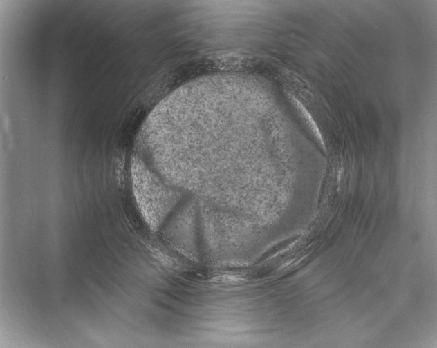 X0000072550610200608111841