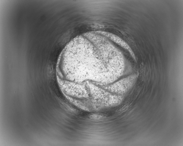 X0000072550614200608111840