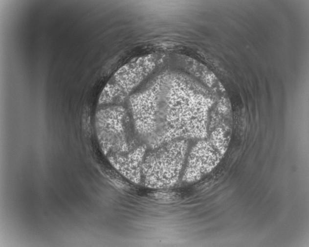 X0000072550615200608111840