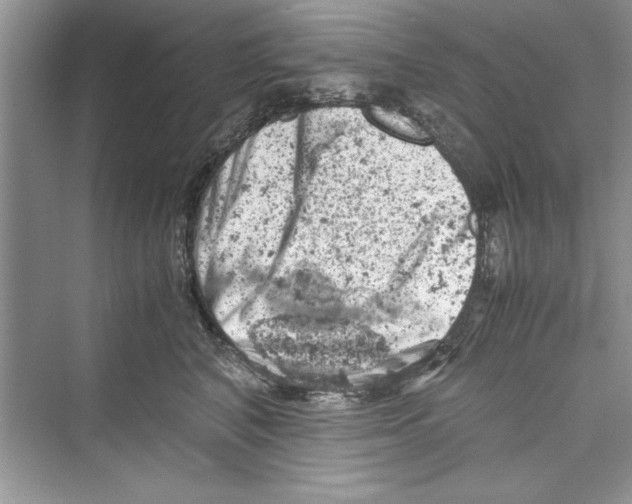 X0000072550616200608111840