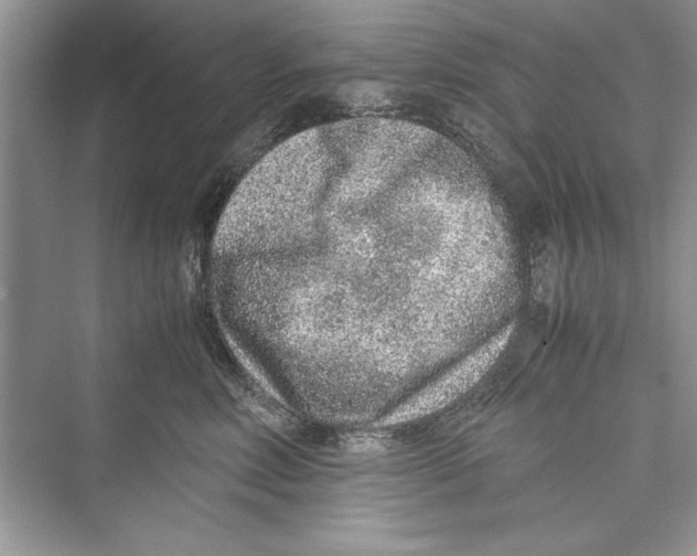 X0000072550618200608111840