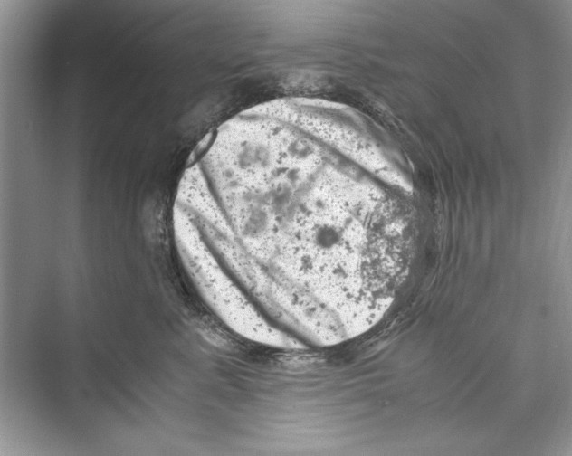 X0000072550619200608111840