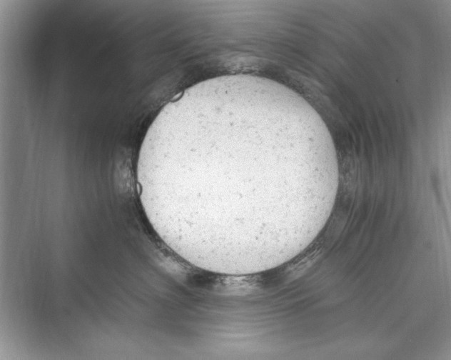 X0000072550622200608111840