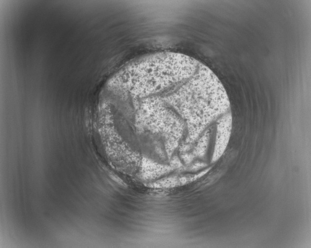 X0000072550624200608111840