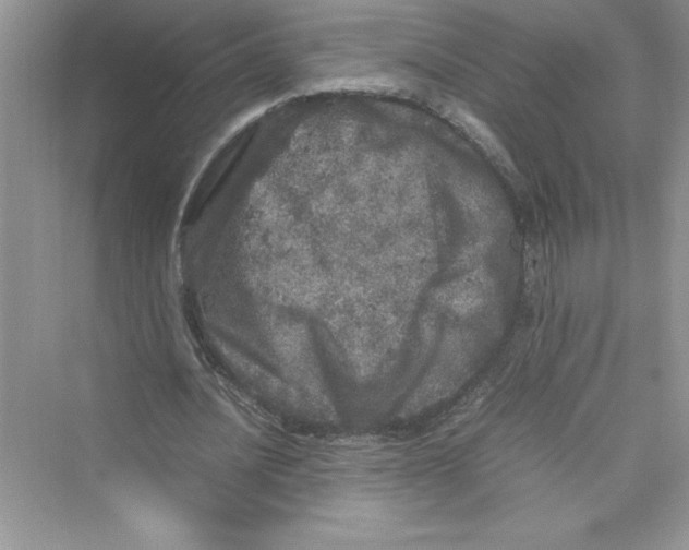 X0000072550628200608111840