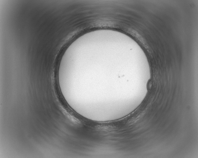 X0000072550629200608111840