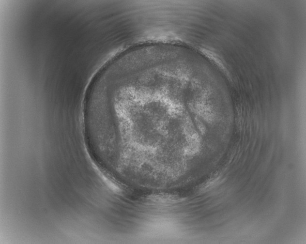 X0000072550630200608111840