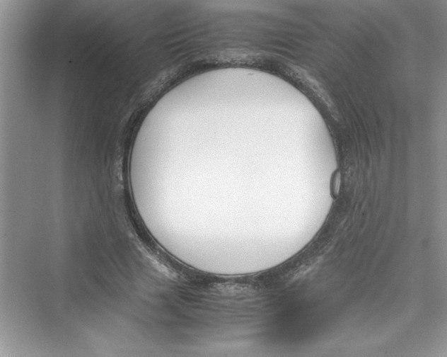 X0000072550633200608111840