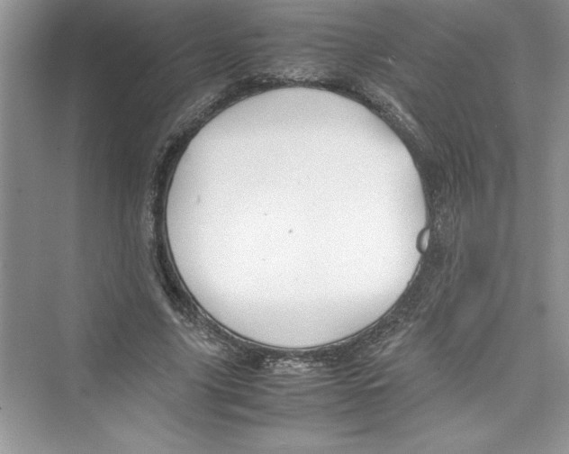 X0000072550635200608111840