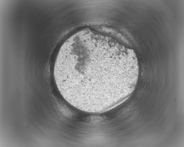 X0000072550636200608111840