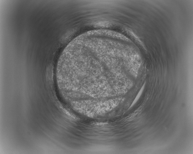 X0000072550637200608111840