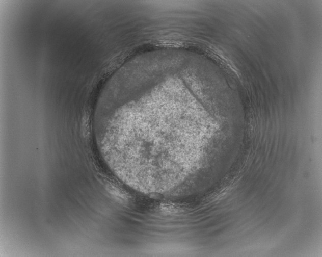 X0000072550641200608111840