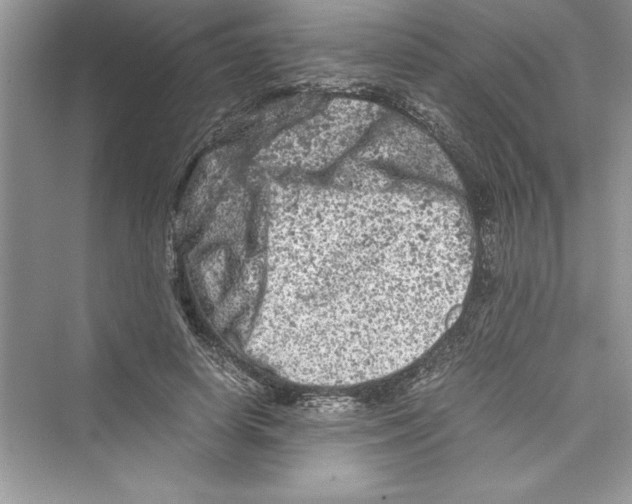 X0000072550642200608111840