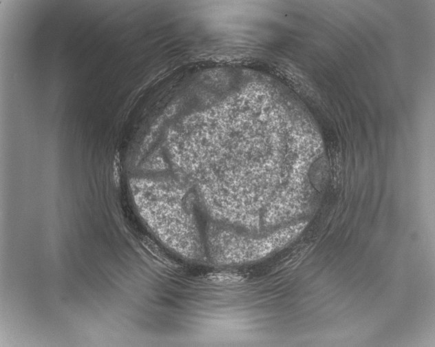 X0000072550644200608111840